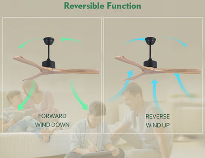 Ultra-Quiet BLDC Solar Ceiling Fan - Multi-Color Change, Remote Control for Home & Hotel Use