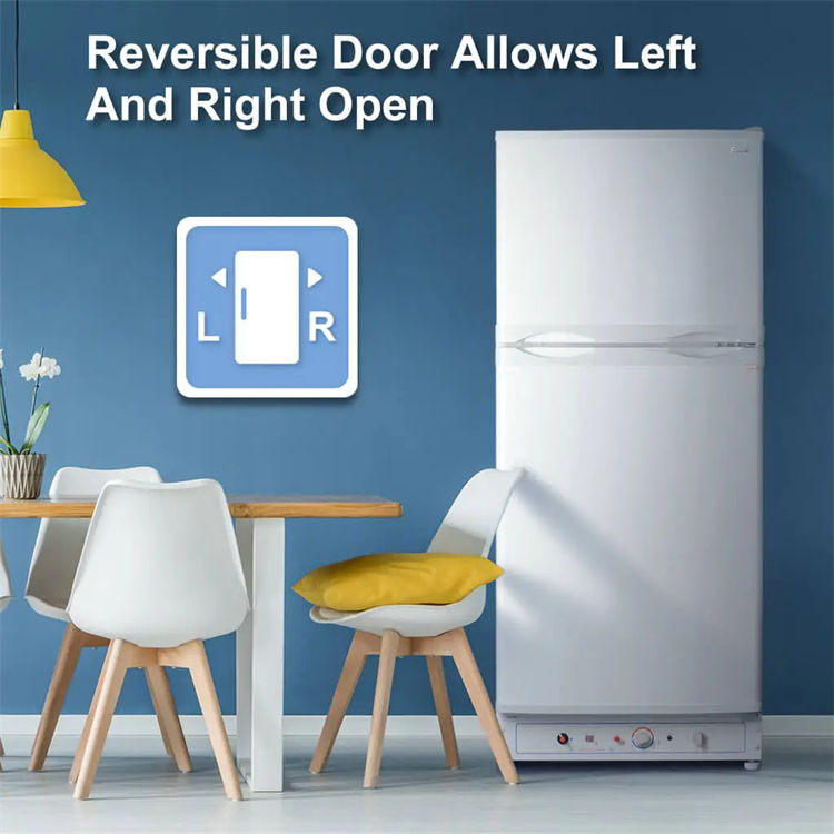 Stainless Steel LPG Absorption Fridge - Portable Dual-Power Refrigerator with Freezer for Off-Grid Use