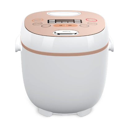 2L Ceramic Rice Cooker - 350W Non-Stick with Spoon & Cup