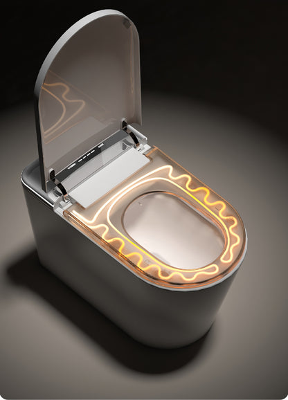 Fully Automatic Smart Toilet