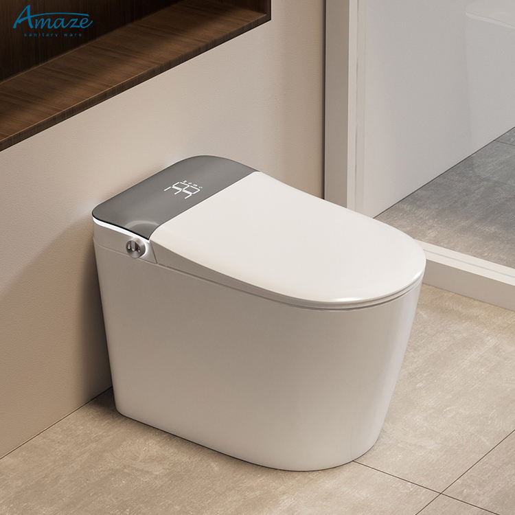 Hotel Smart Toilet - One-Piece Electric, Floor-Standing Ceramic